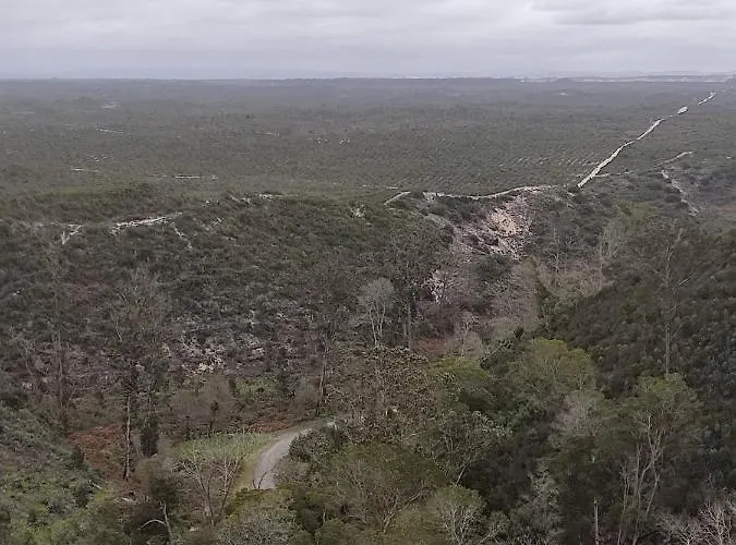 Apartament A Casa De *