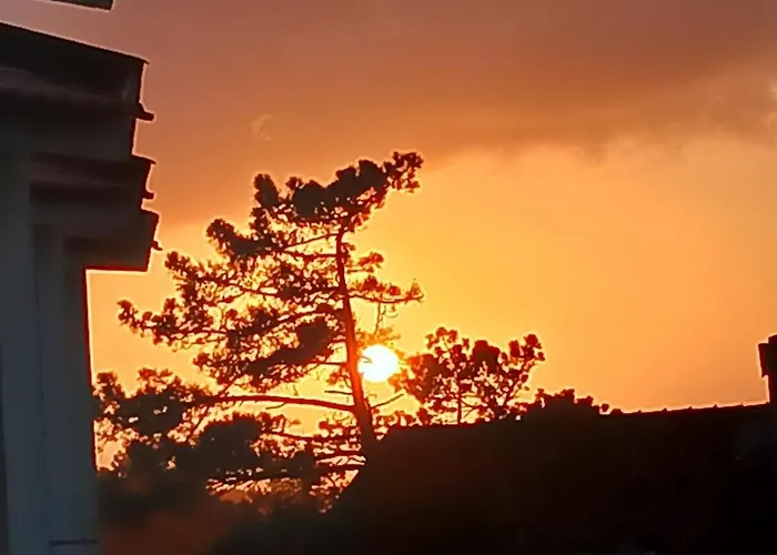 아파트 A Casa De 상페드루 지 모엘