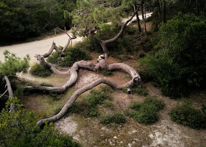 아파트 A Casa De *